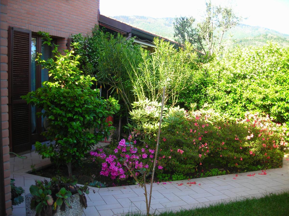 La Folaga Bed and Breakfast Gavirate Exteriör bild